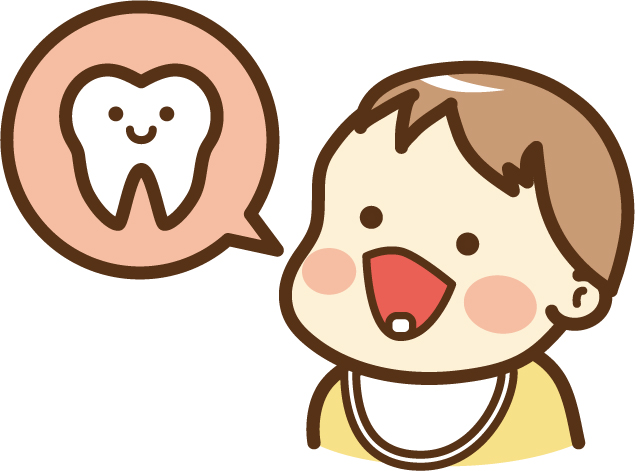 乳歯が生えてきた赤ちゃん